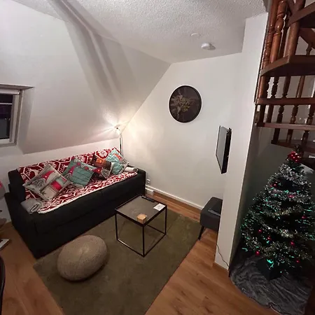 Le Nouveau Vauban コルマール